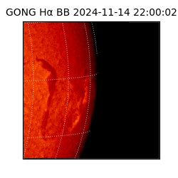 gong - 2024-11-14T22:00:02
