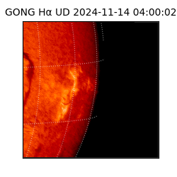 gong - 2024-11-14T04:00:02