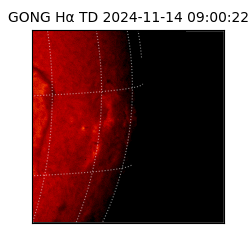 gong - 2024-11-14T09:00:22