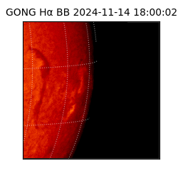 gong - 2024-11-14T18:00:02