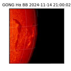 gong - 2024-11-14T21:00:02