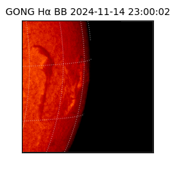 gong - 2024-11-14T23:00:02