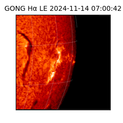 gong - 2024-11-14T07:00:42