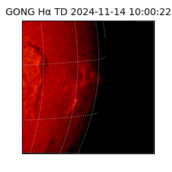 gong - 2024-11-14T10:00:22