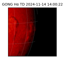 gong - 2024-11-14T14:00:22
