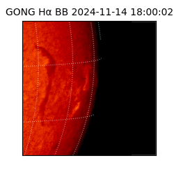 gong - 2024-11-14T18:00:02