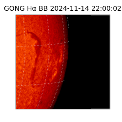 gong - 2024-11-14T22:00:02