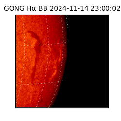 gong - 2024-11-14T23:00:02