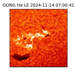 gong - 2024-11-14T07:00:42