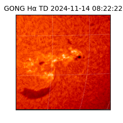 gong - 2024-11-14T08:22:22