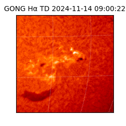 gong - 2024-11-14T09:00:22