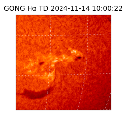 gong - 2024-11-14T10:00:22