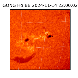 gong - 2024-11-14T22:00:02