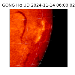 gong - 2024-11-14T06:00:02
