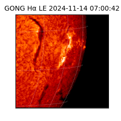 gong - 2024-11-14T07:00:42