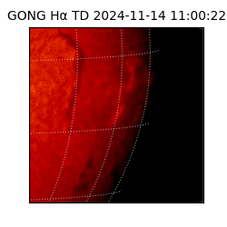 gong - 2024-11-14T11:00:22