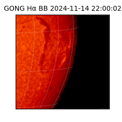 gong - 2024-11-14T22:00:02