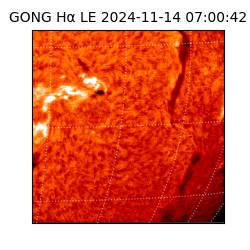 gong - 2024-11-14T07:00:42