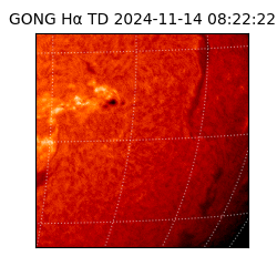 gong - 2024-11-14T08:22:22