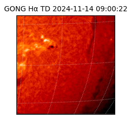 gong - 2024-11-14T09:00:22