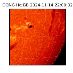 gong - 2024-11-14T22:00:02