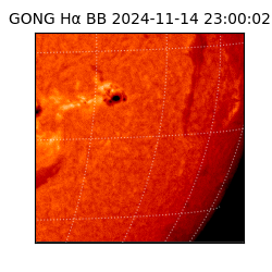 gong - 2024-11-14T23:00:02