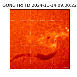 gong - 2024-11-14T09:00:22