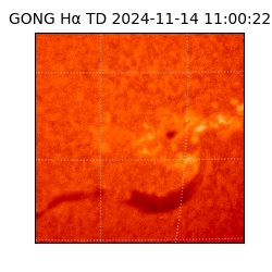 gong - 2024-11-14T11:00:22