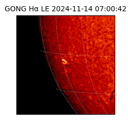 gong - 2024-11-14T07:00:42