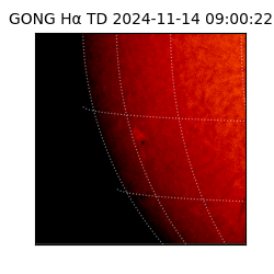gong - 2024-11-14T09:00:22