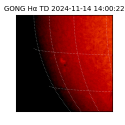 gong - 2024-11-14T14:00:22