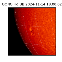 gong - 2024-11-14T18:00:02