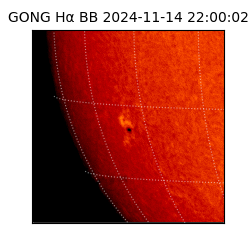 gong - 2024-11-14T22:00:02