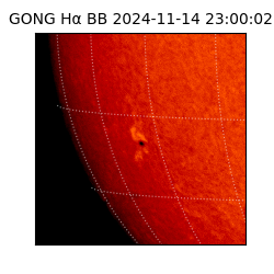 gong - 2024-11-14T23:00:02