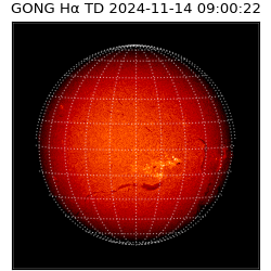 gong - 2024-11-14T09:00:22
