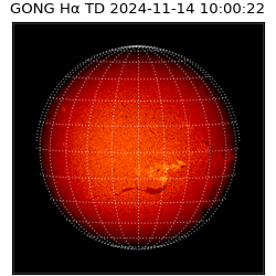 gong - 2024-11-14T10:00:22