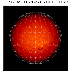 gong - 2024-11-14T11:00:22