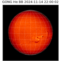 gong - 2024-11-14T22:00:02