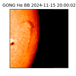 gong - 2024-11-15T20:00:02