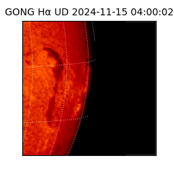 gong - 2024-11-15T04:00:02