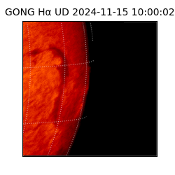 gong - 2024-11-15T10:00:02