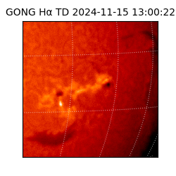 gong - 2024-11-15T13:00:22