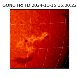 gong - 2024-11-15T15:00:22