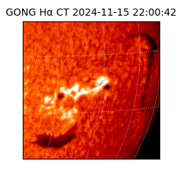 gong - 2024-11-15T22:00:42
