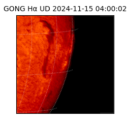 gong - 2024-11-15T04:00:02