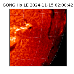 gong - 2024-11-15T02:00:42