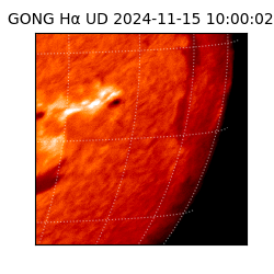 gong - 2024-11-15T10:00:02