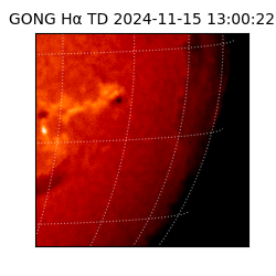 gong - 2024-11-15T13:00:22