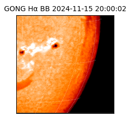gong - 2024-11-15T20:00:02