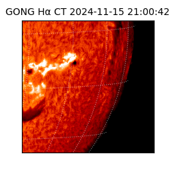 gong - 2024-11-15T21:00:42